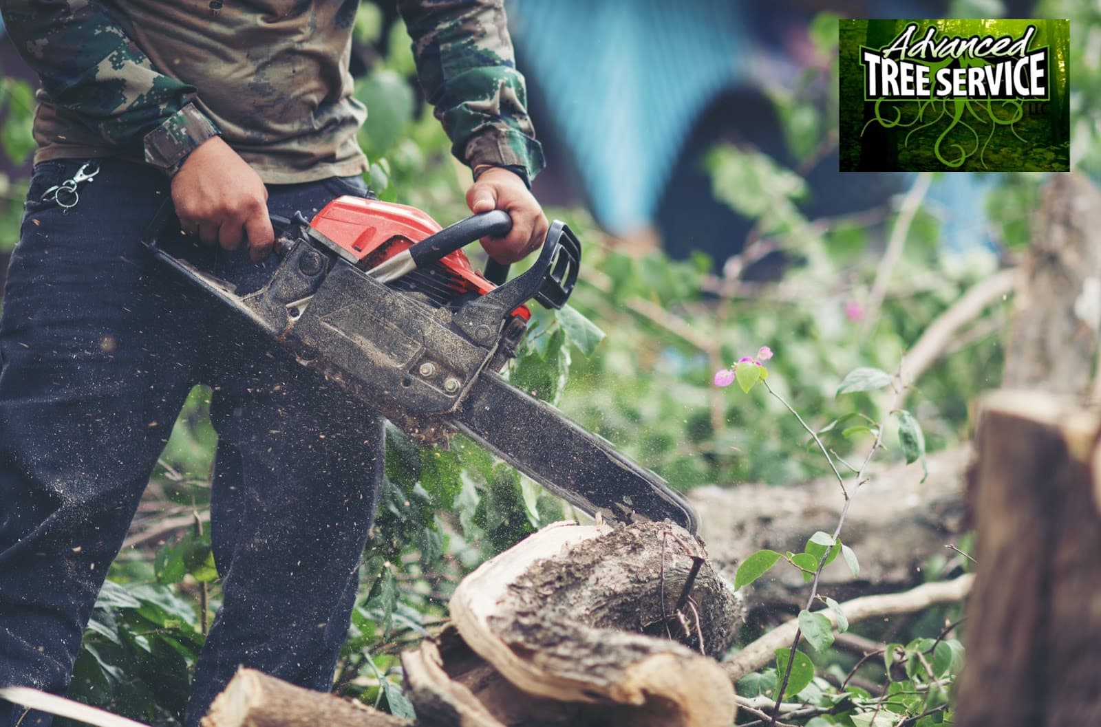 Advanced Tree Service LLC.