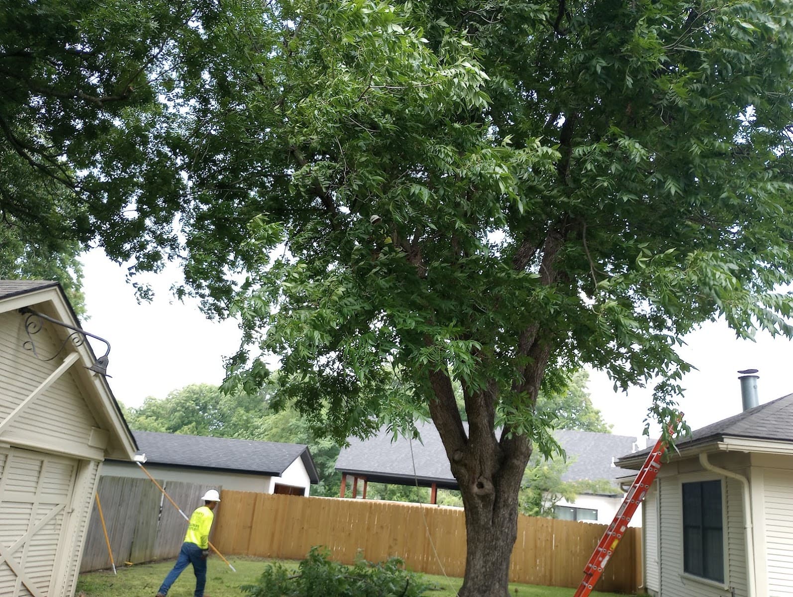 Texas Climbers Tree Service LLP