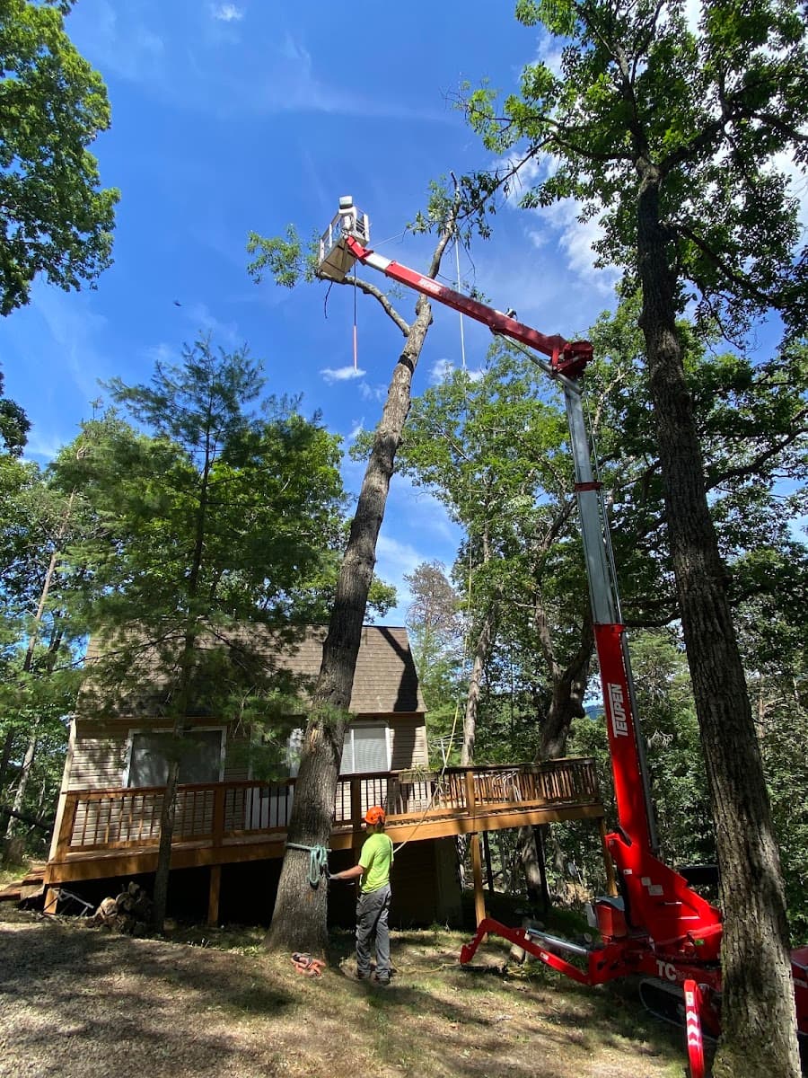 Ward’s Tree Service Inc.