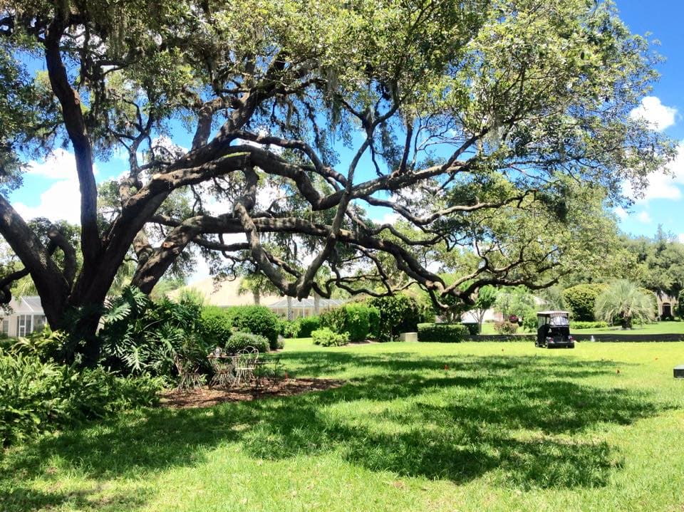 Total Urban Forestry