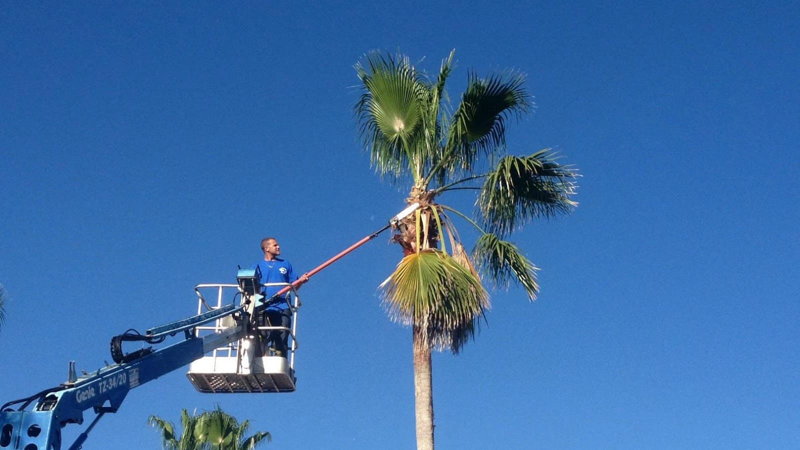 Duval and Son Services