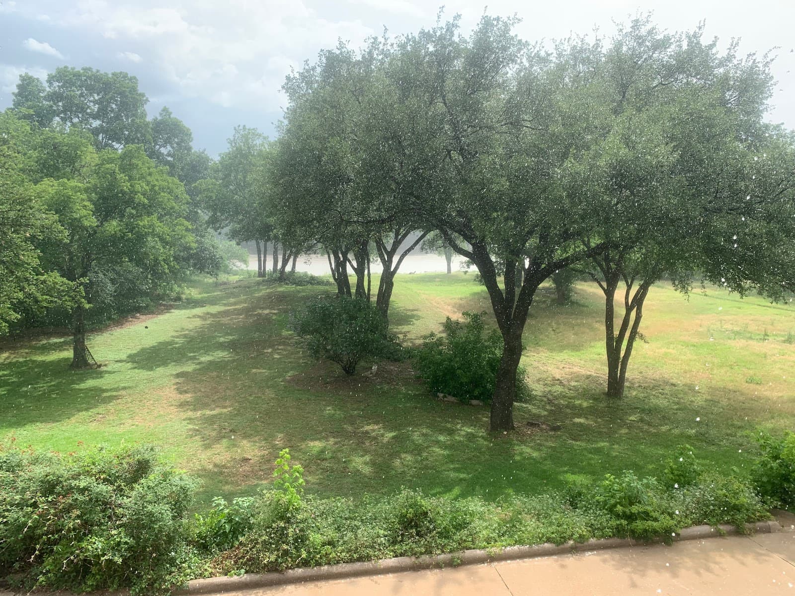 Steve's Tree Service LLC