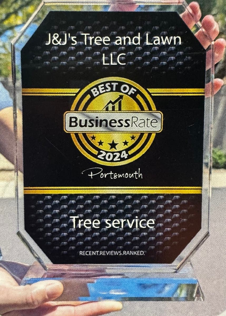 J&J's Tree and Lawn LLC