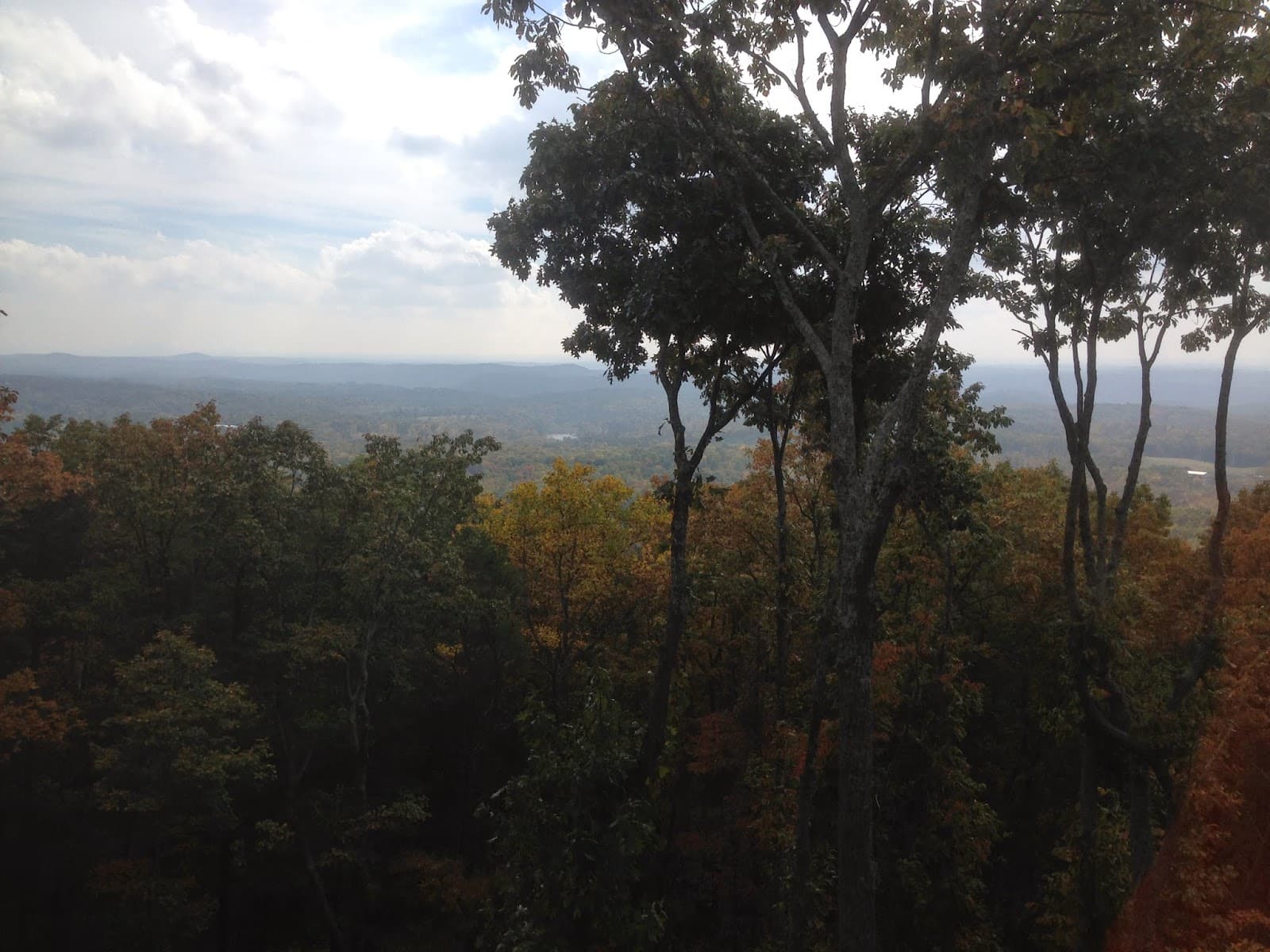 Zach's Grading & Tree Removal