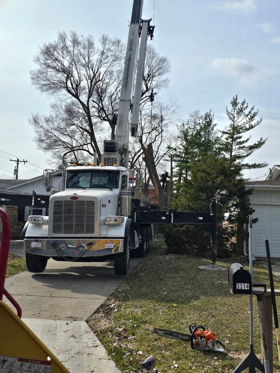 Brock's Tree Service