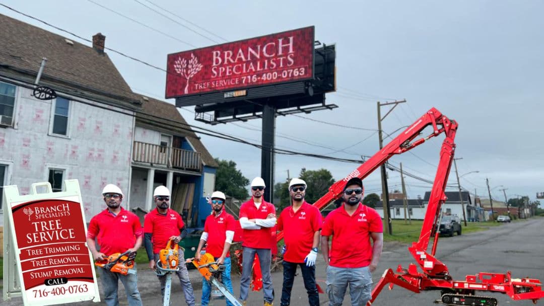 Branch Specialists
