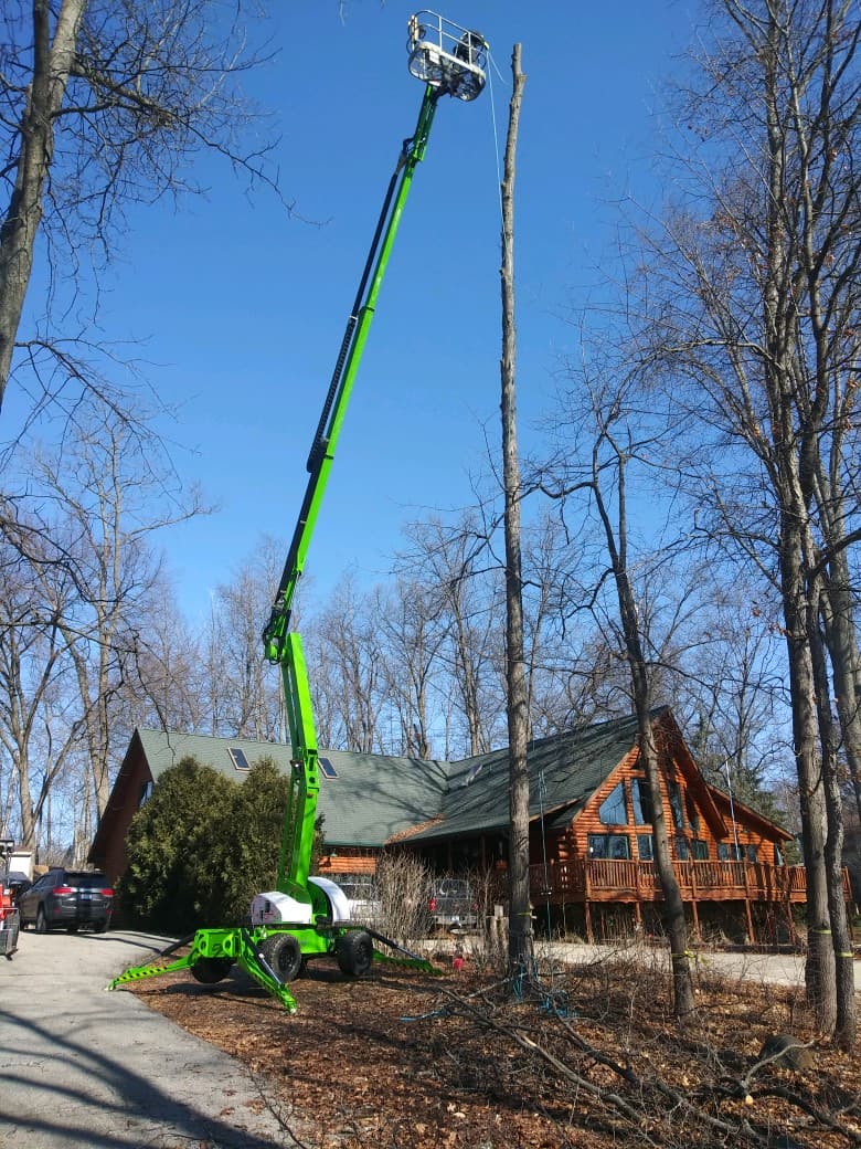 Lakes Forestry Tree Service