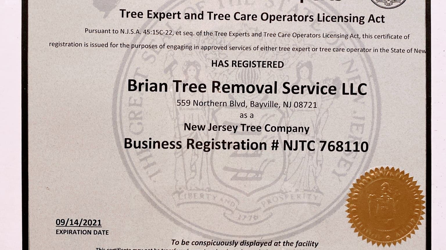Brian's Tree Removal Service, LLC