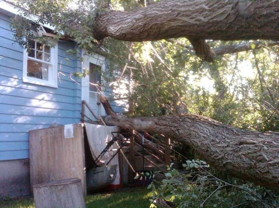 Leonardo's Tree Services Inc