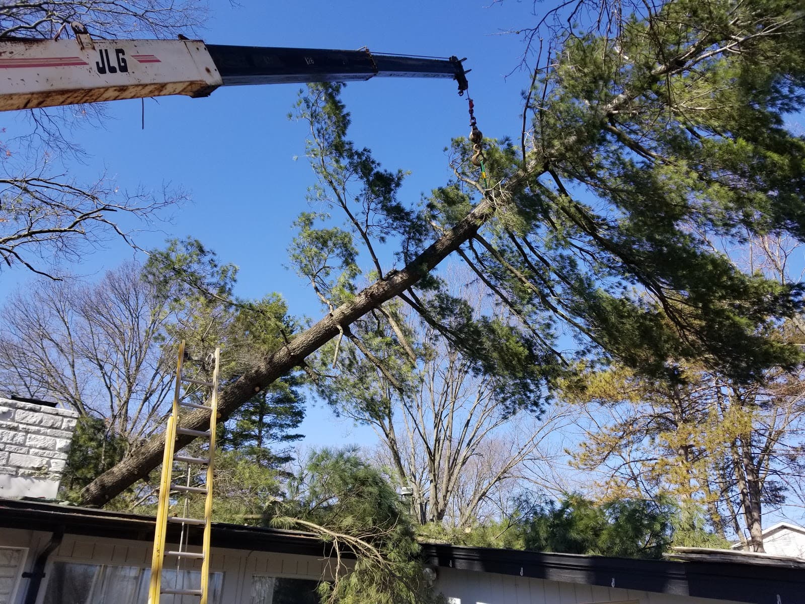 Southfork Tree Services