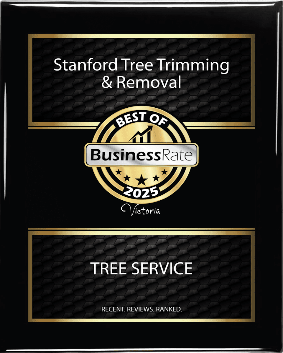 Stanford Tree Trimming & Removal