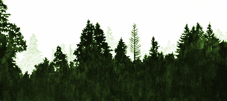 Evergreen Tree Service