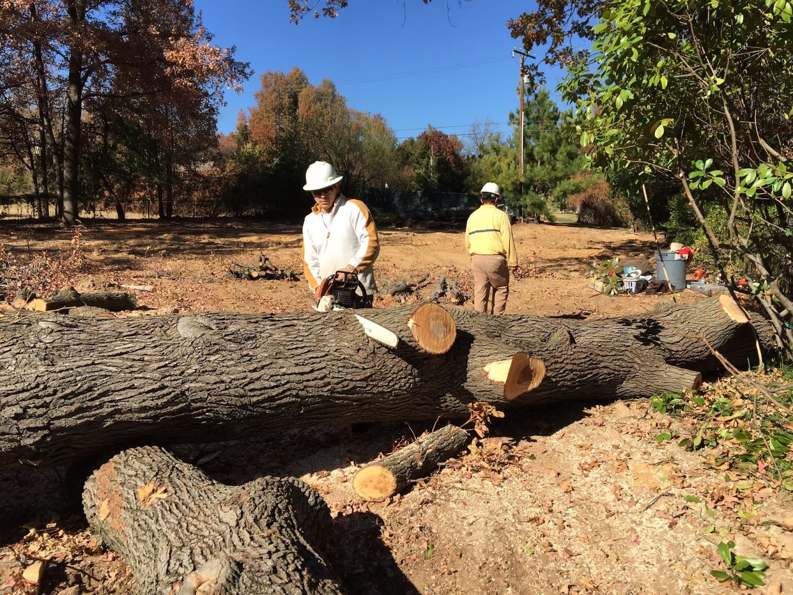 Rafael's Tree Service