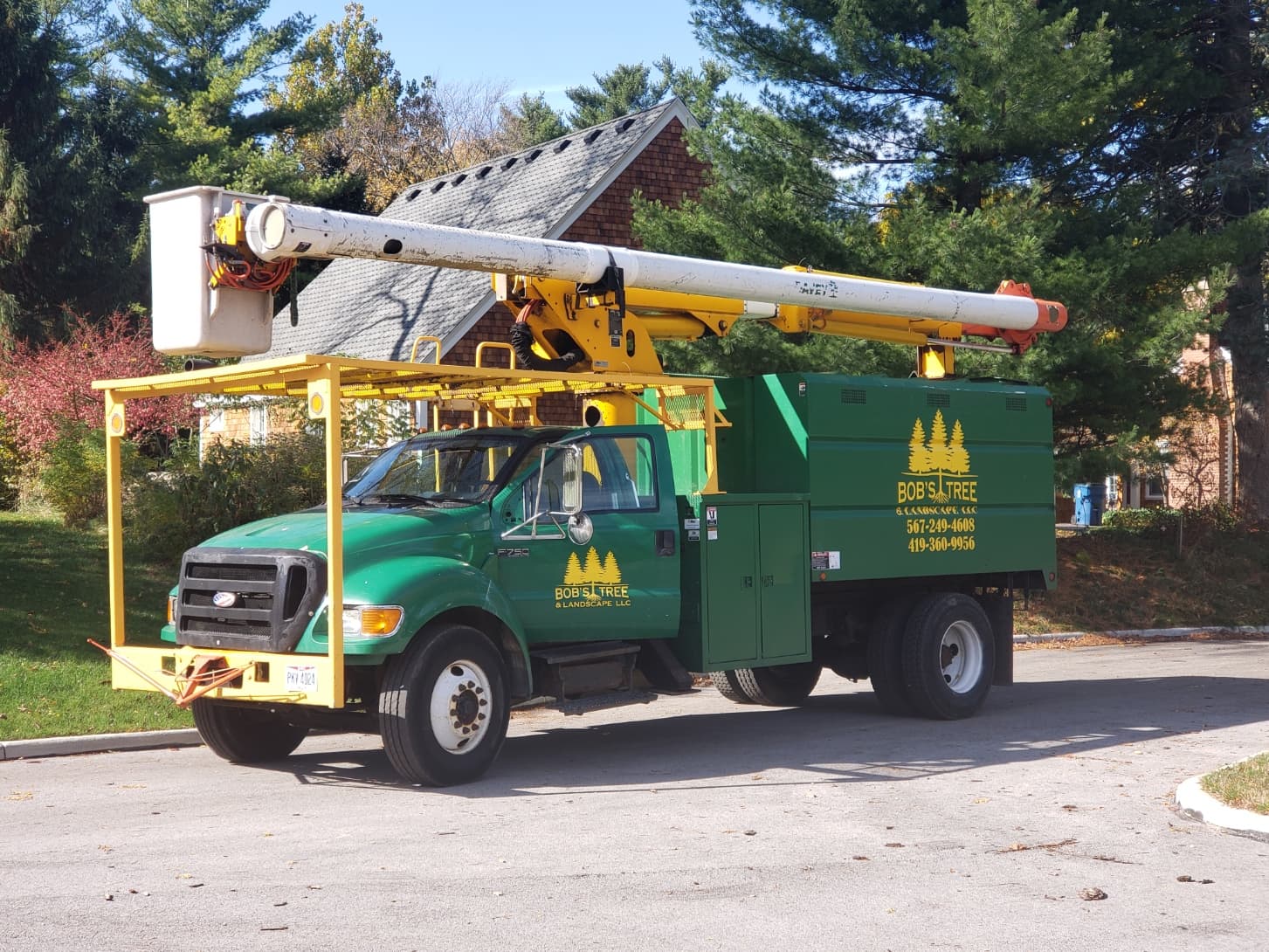 Bob's Tree & Landscape LLC