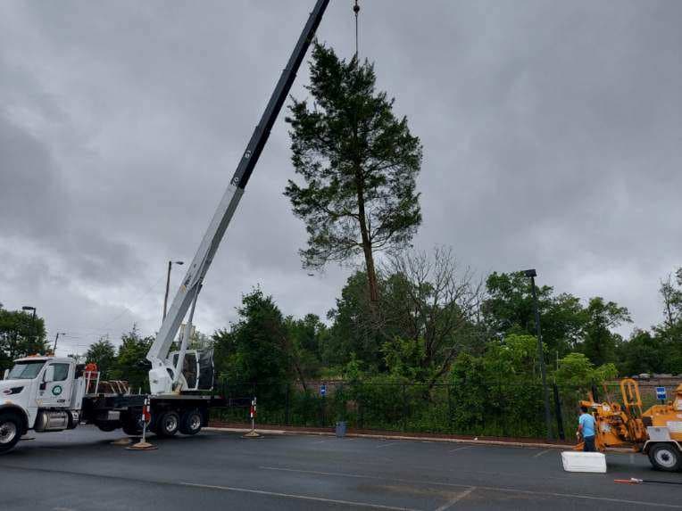 Bowler's Tree Service