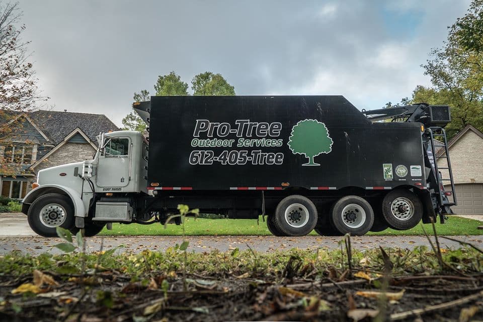Pro-Tree Outdoor Services