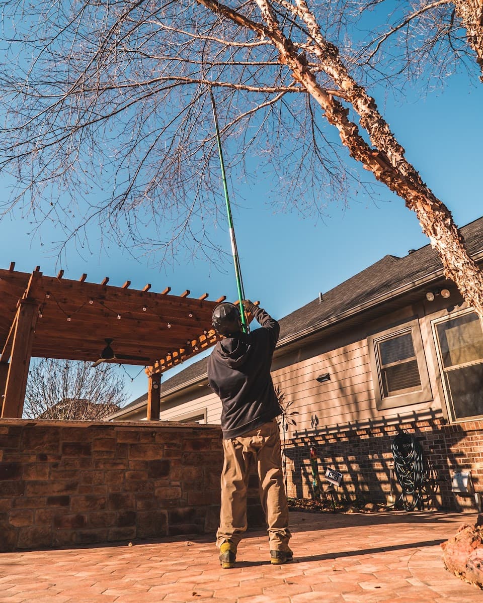 Blue Ox Tree Service