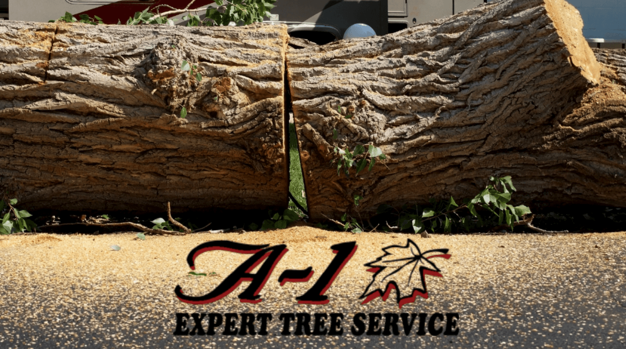 A-1 Expert Tree Service