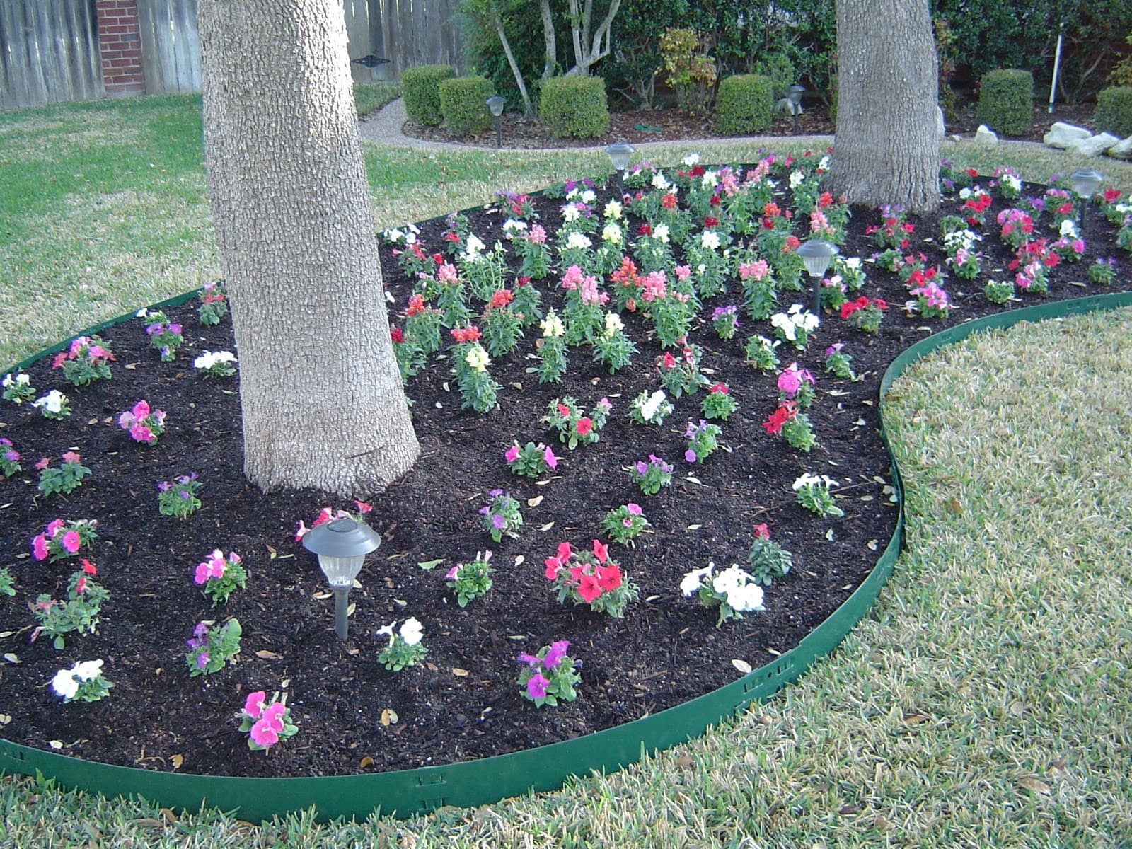 Benitez Tree and Shrub Service LLC