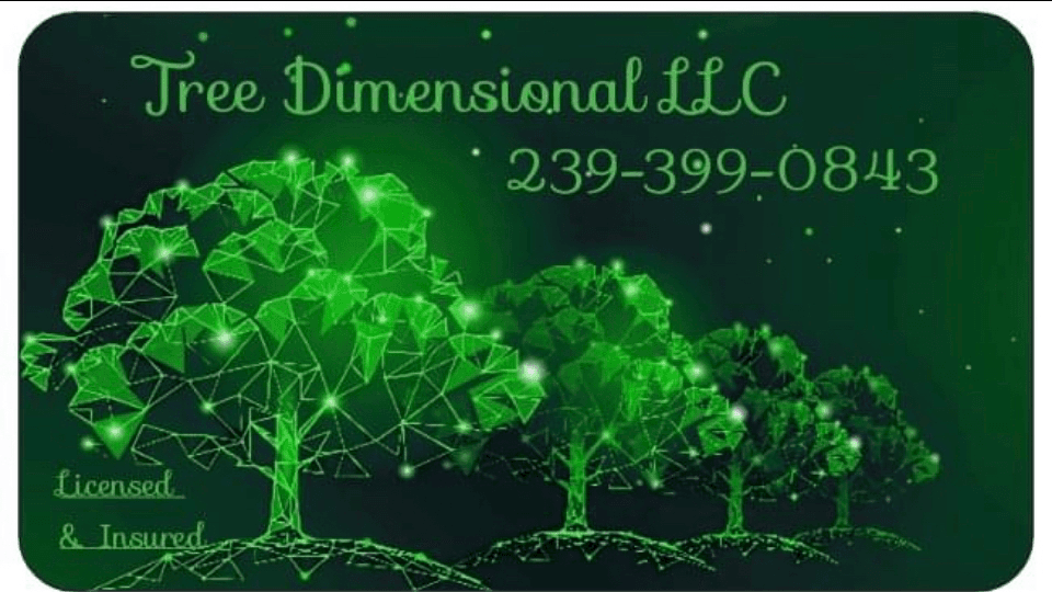 Tree Dimensional LLC