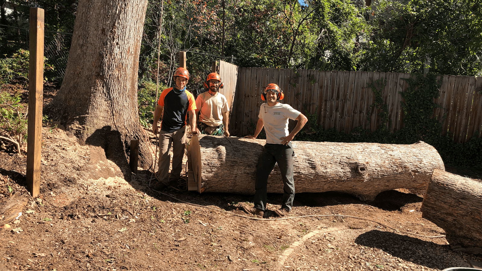 Earthworks Tree Services, INC