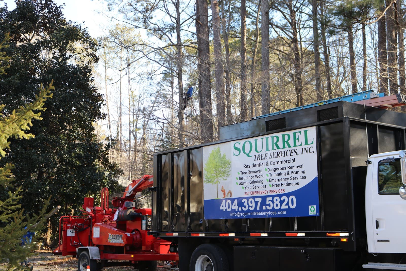 Squirrel Tree Services, Inc.
