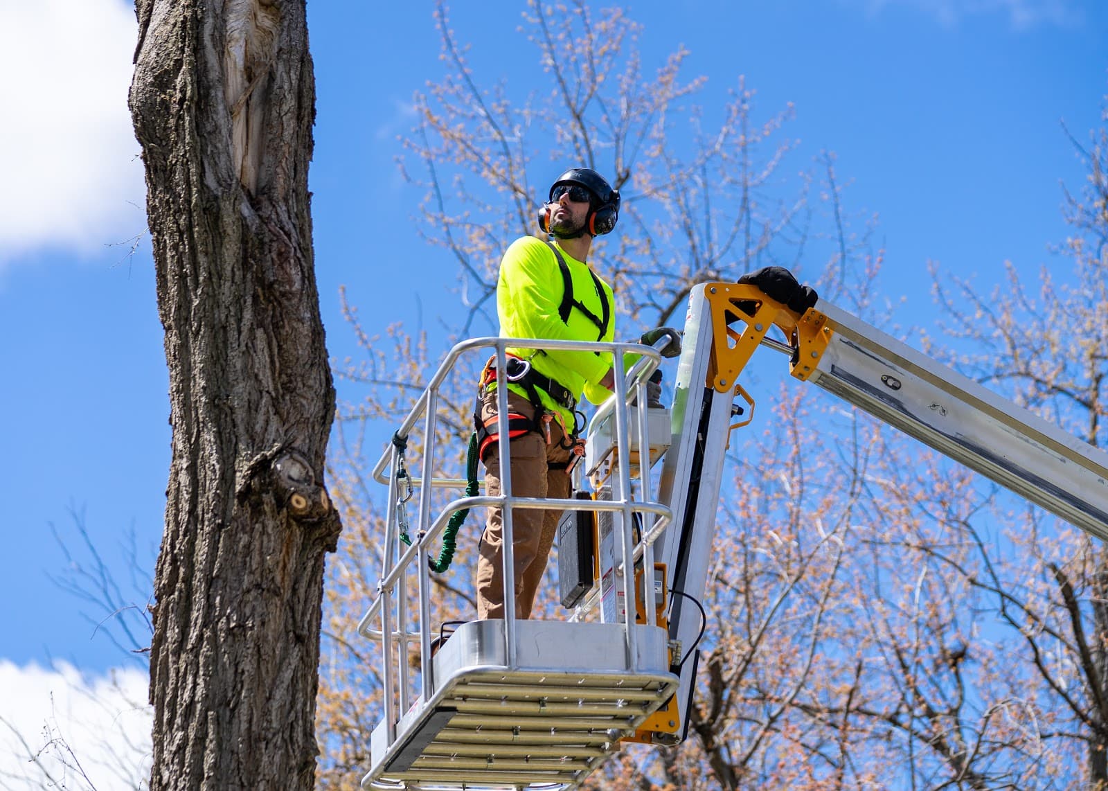 ESD Tree Service LLC