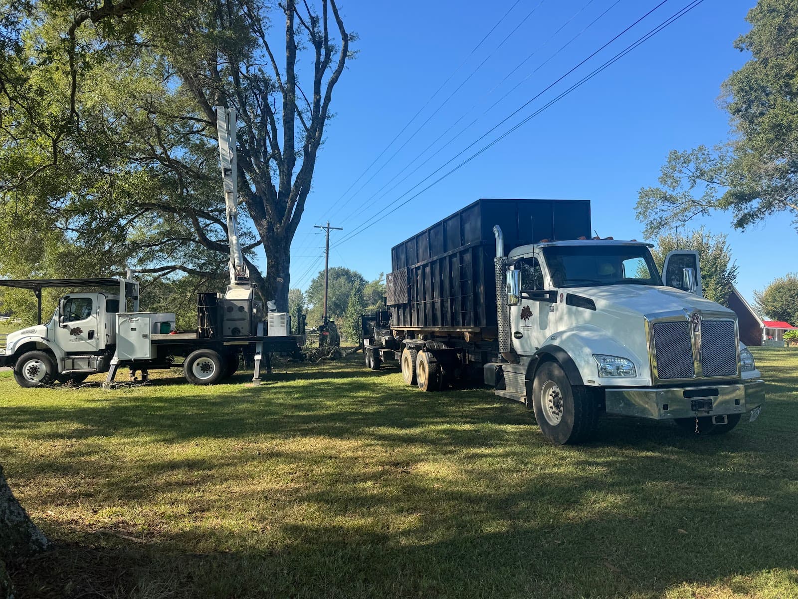 Delta Tree Service, LLC