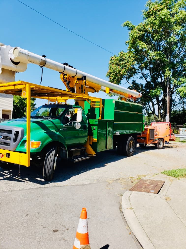 AG & B Professional Tree Service