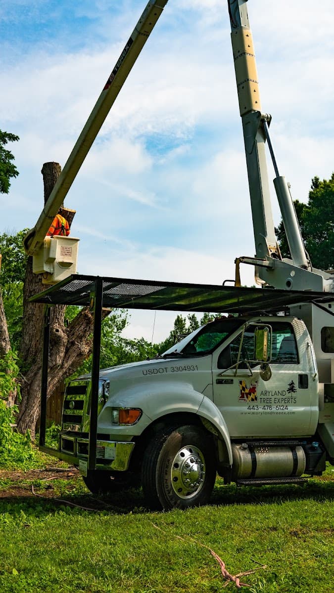 Maryland Tree Experts