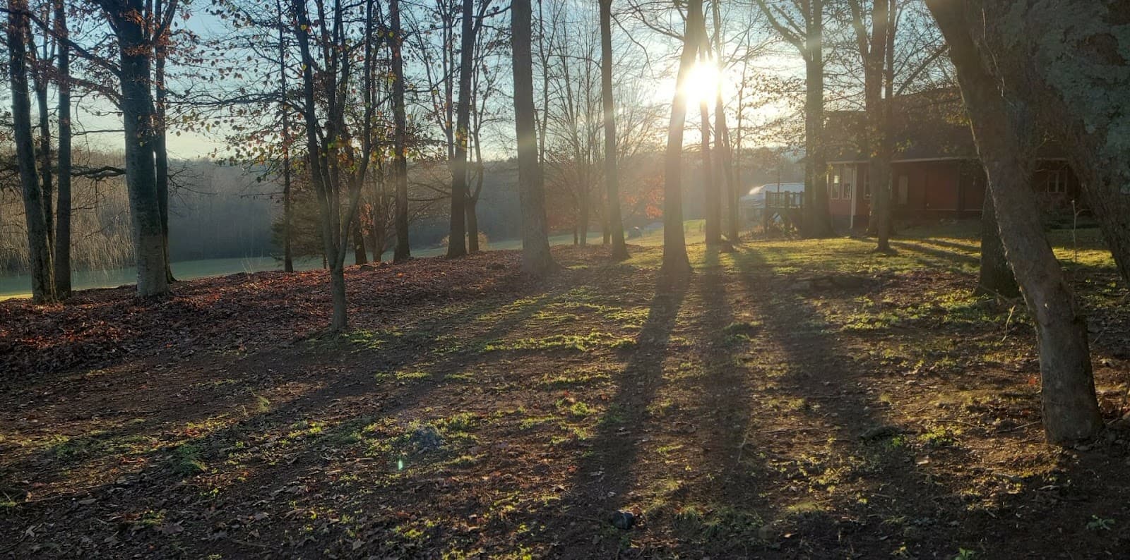 R & J Tree Service Inc.