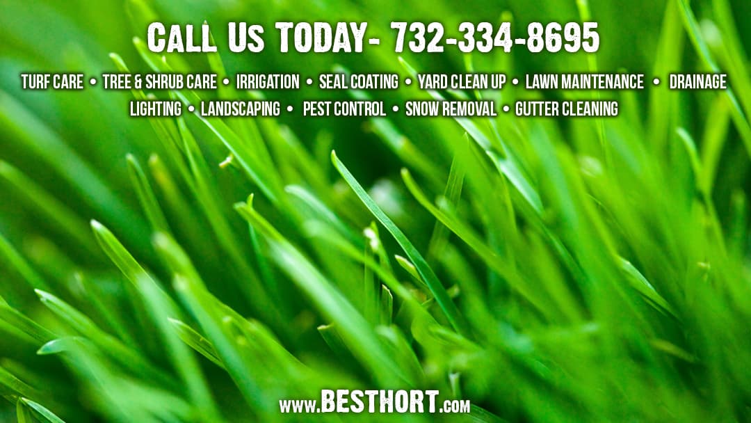 Best Horticultural Services