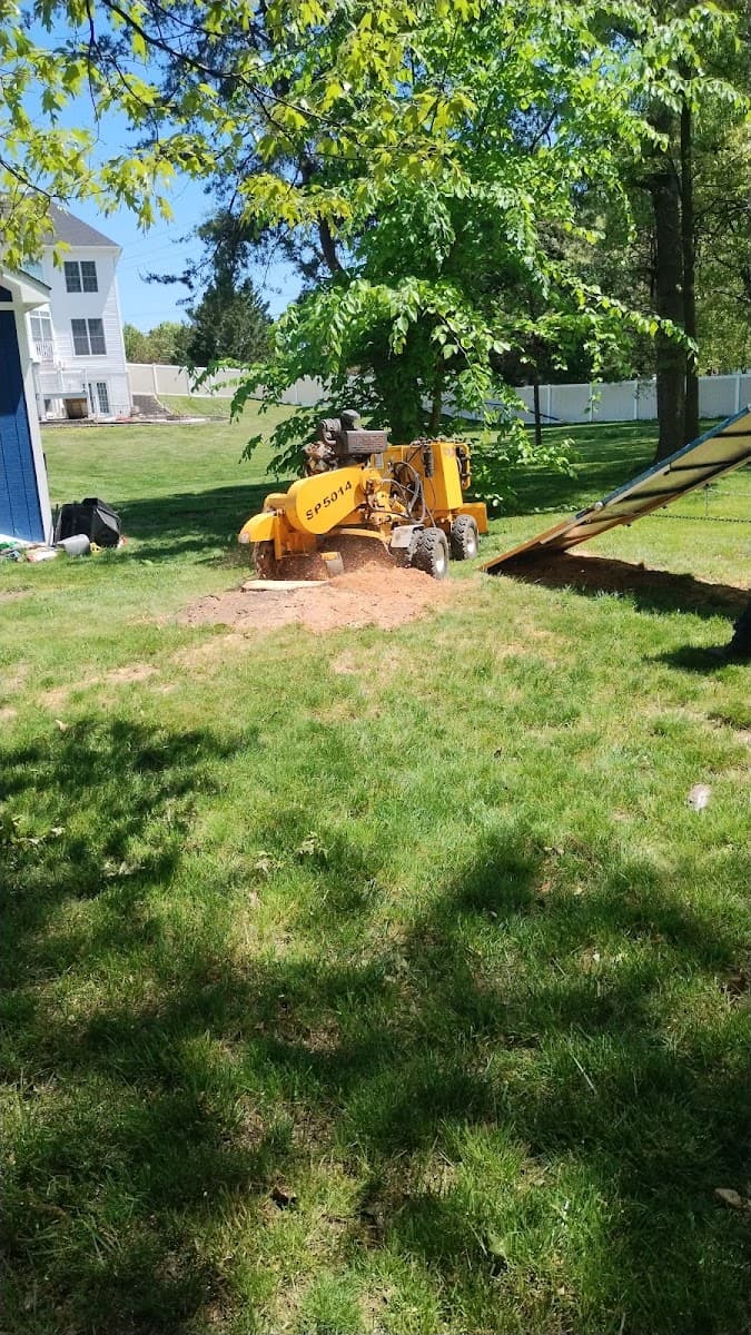 Firewood Unlimited Tree Service, Landscaping