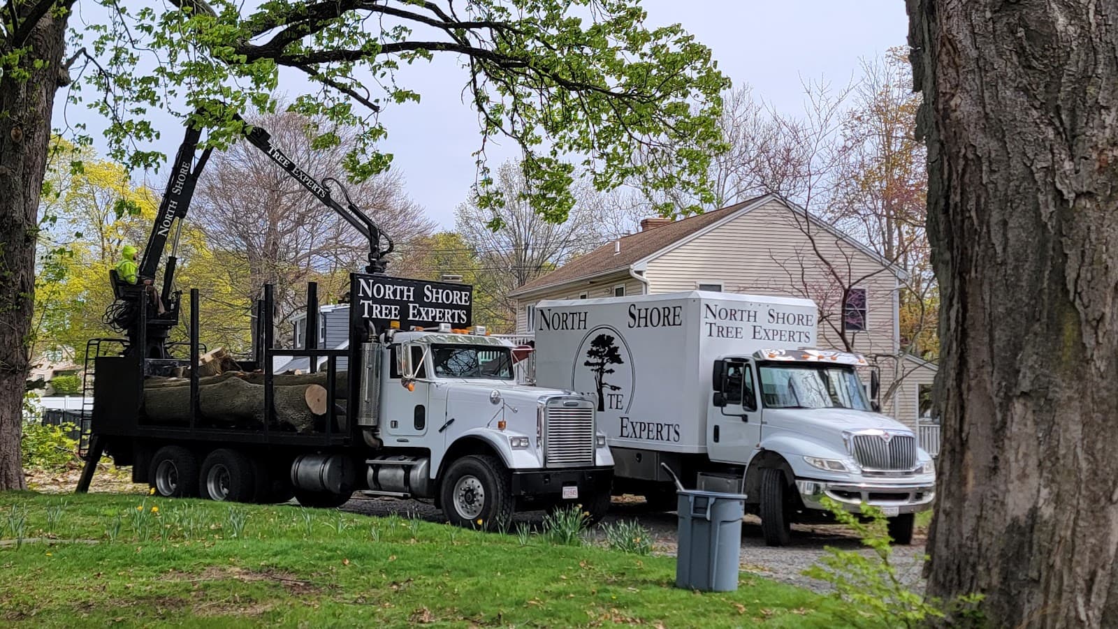 North Shore Tree Experts