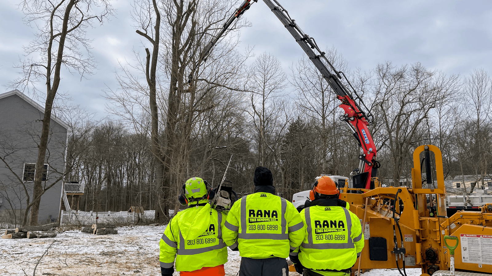 Rana Tree Removal LLC