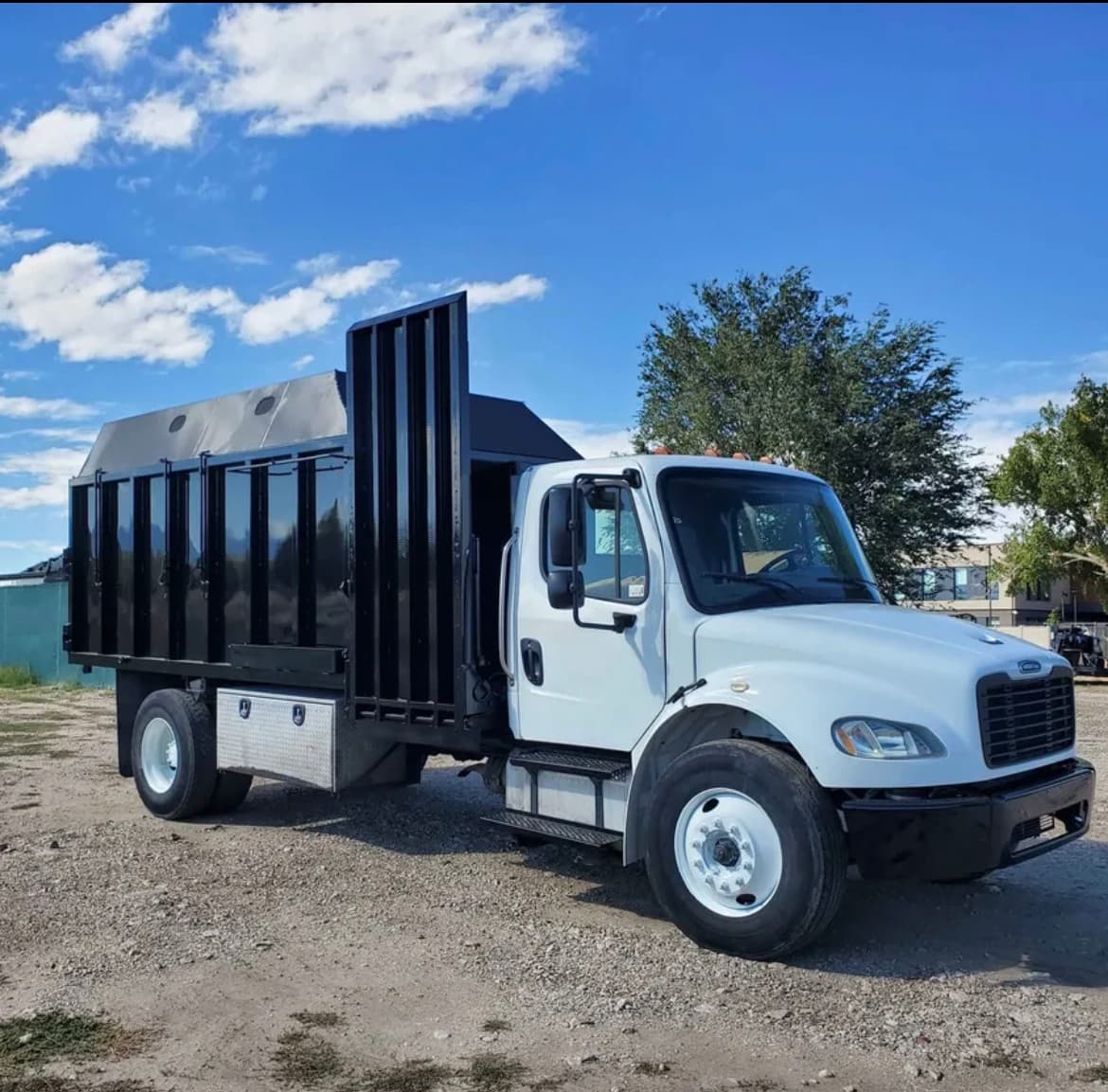 Andrew's tree removal