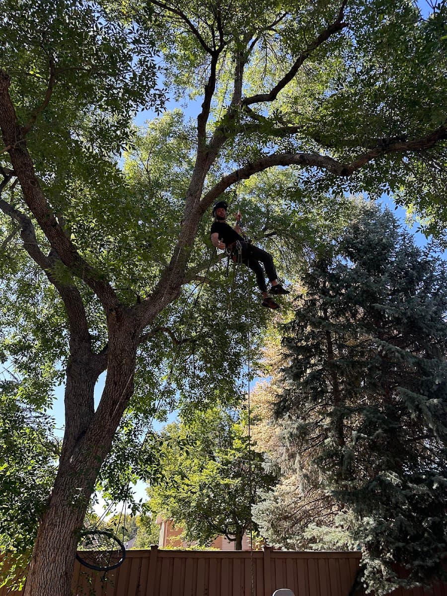 Verdant Valley Tree And Landscaping