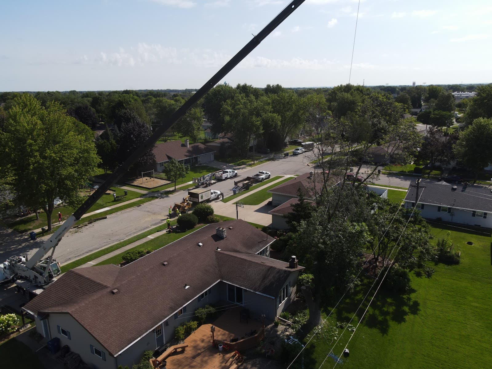 Lowney's Tree Service