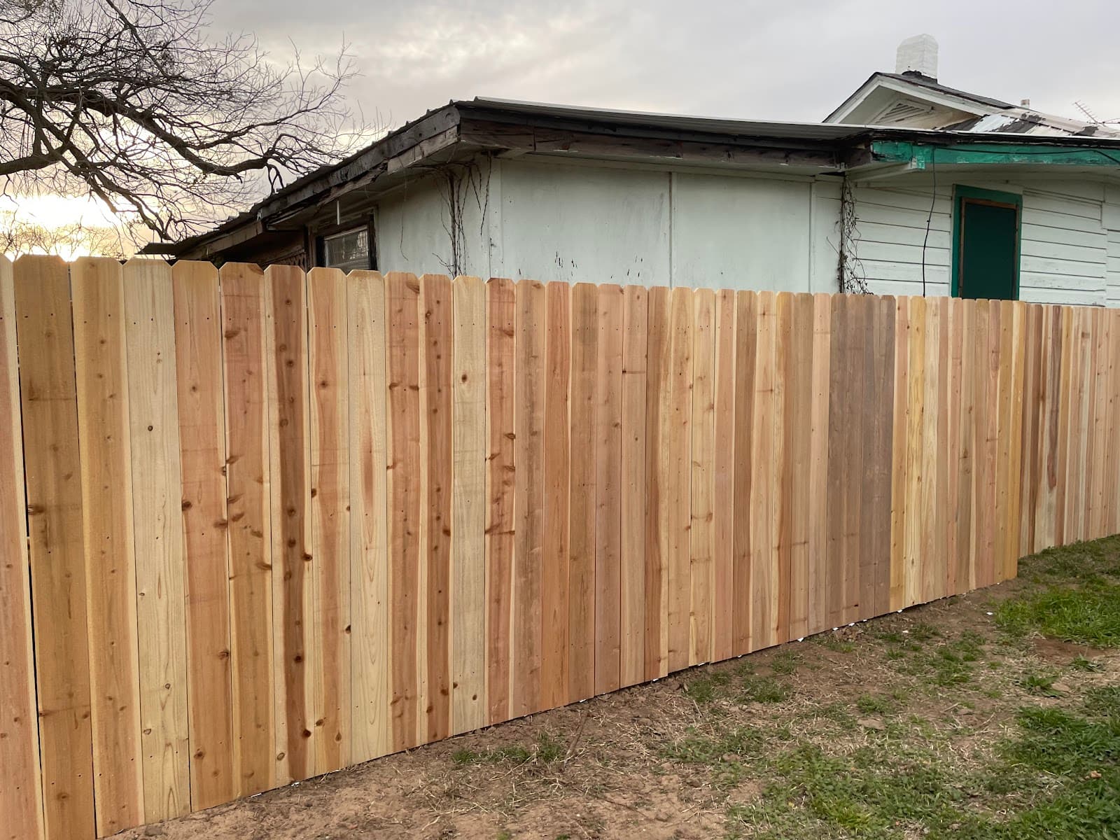 ASAP Tree And Fencing LLC