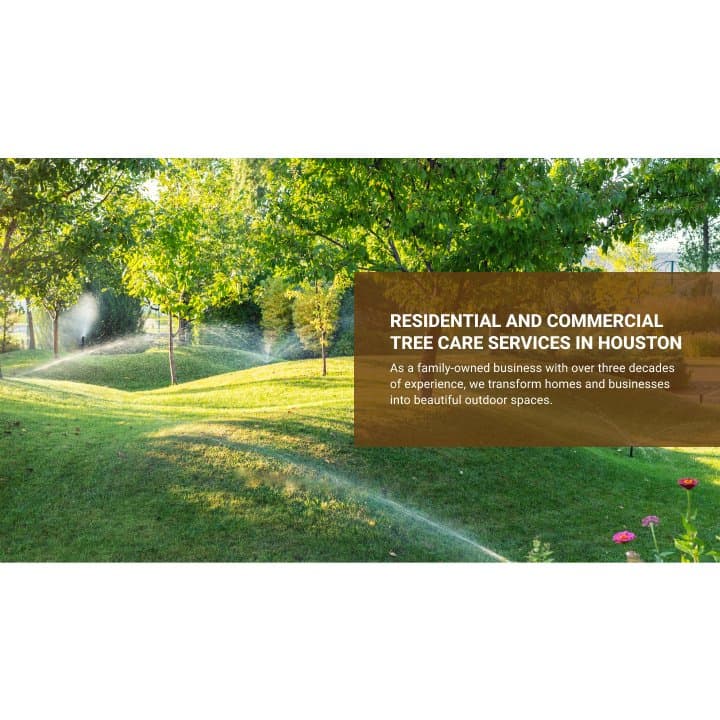 William Tree Services LLC