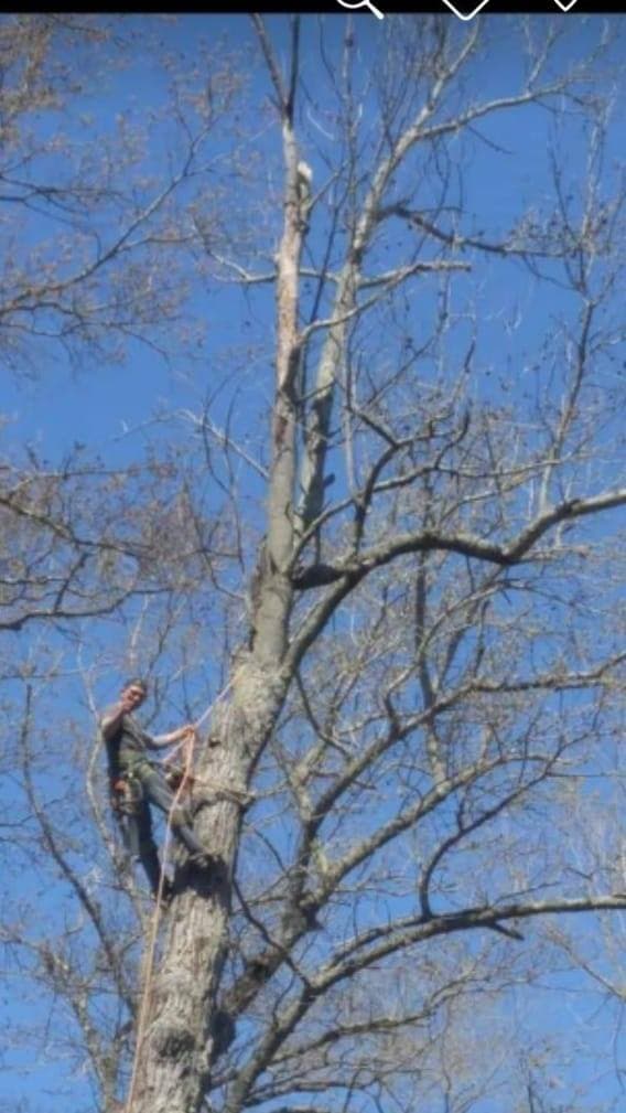 H&G Tree Service LLC