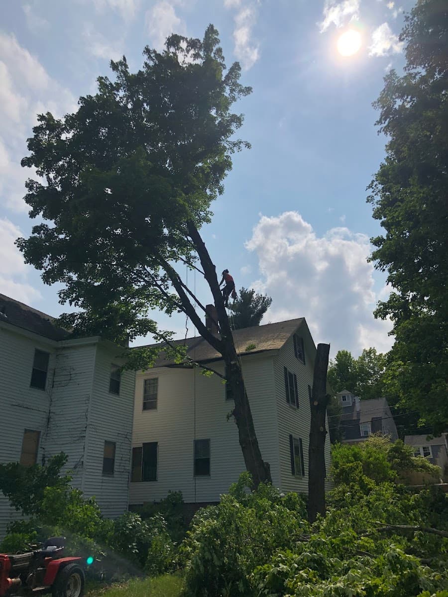 C.T. Tree Service, LLC