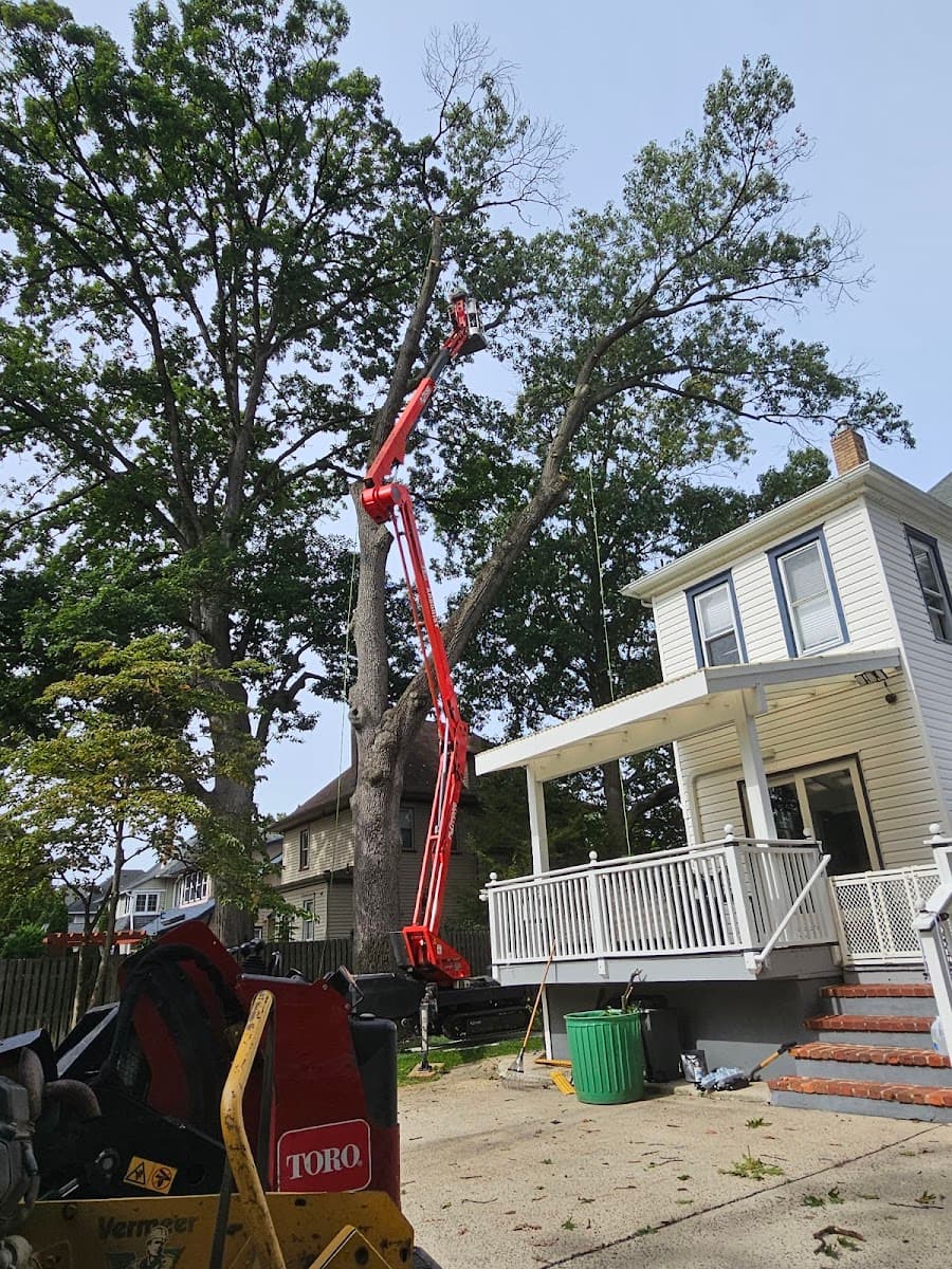 FT Stump Grinding and Tree Service