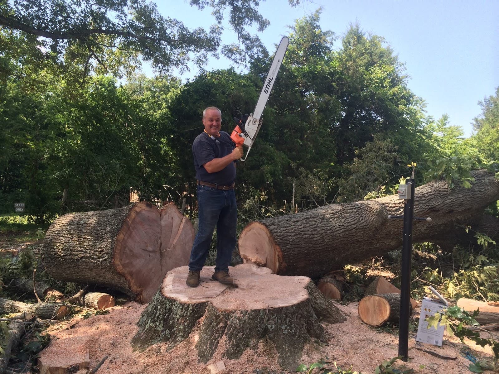 Mark Tuttle Tree Service