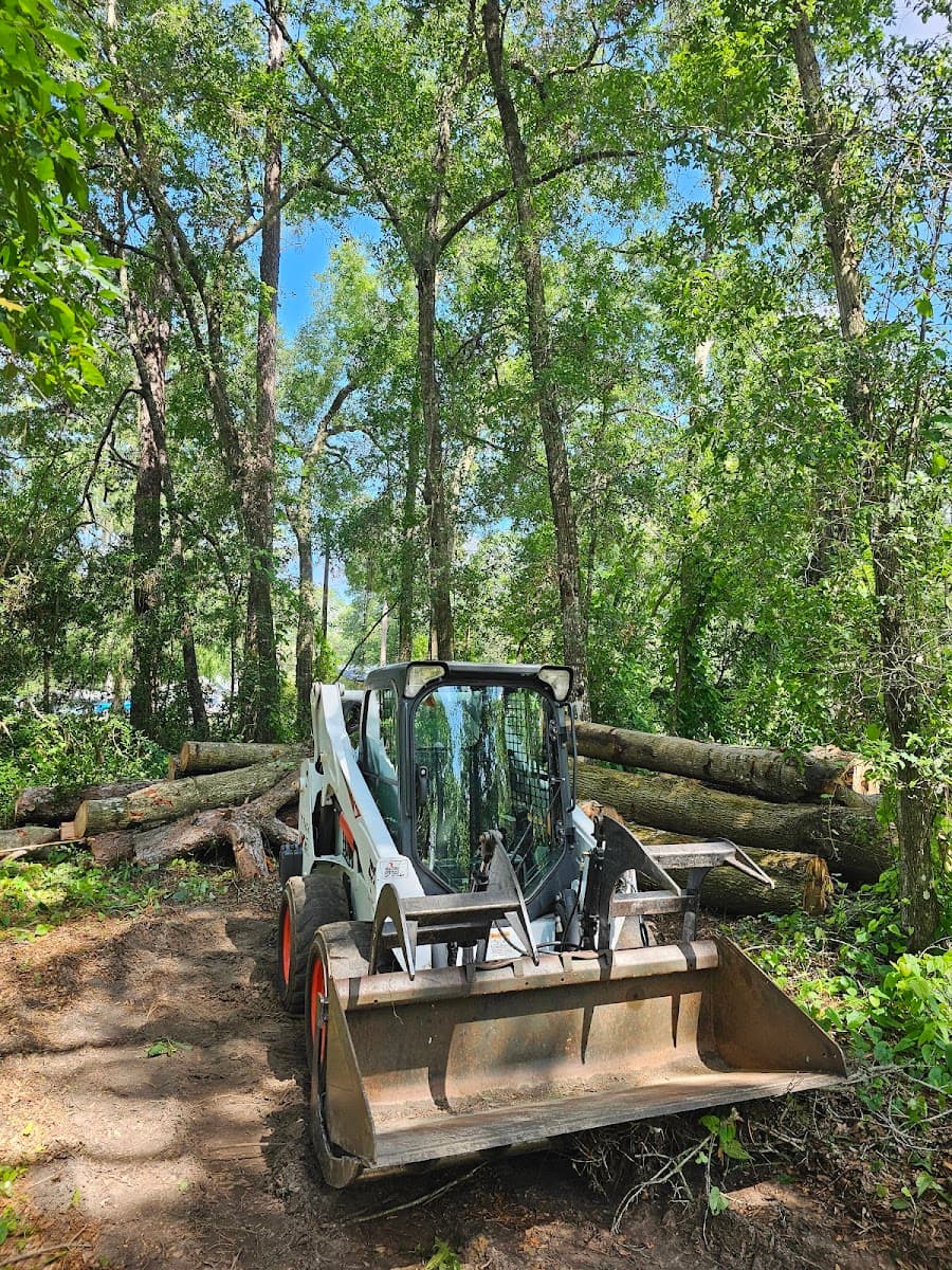 Down To Earth Tree Service, LLC