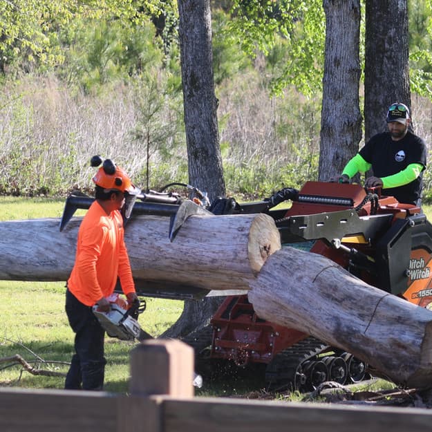 Precision Tree Services