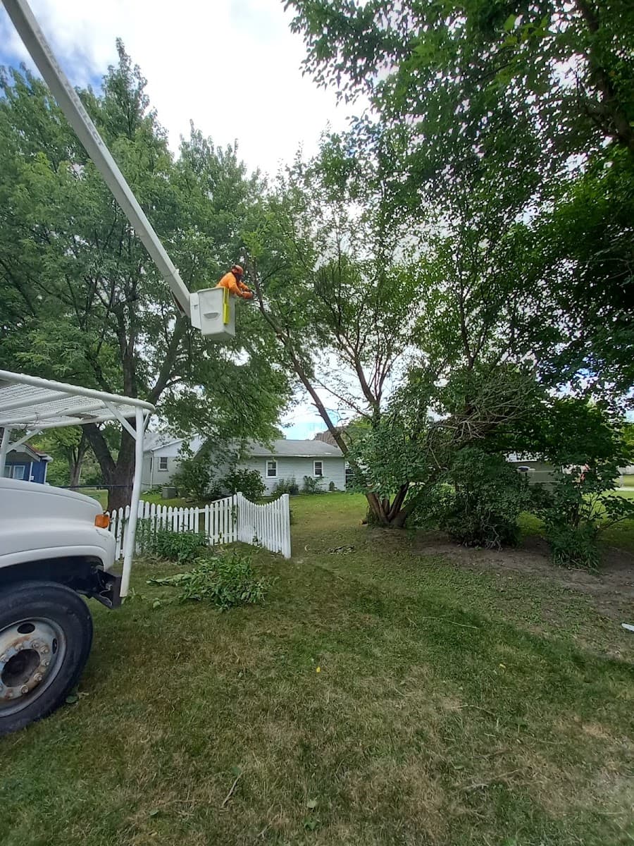 United Tree Service Centerville Iowa