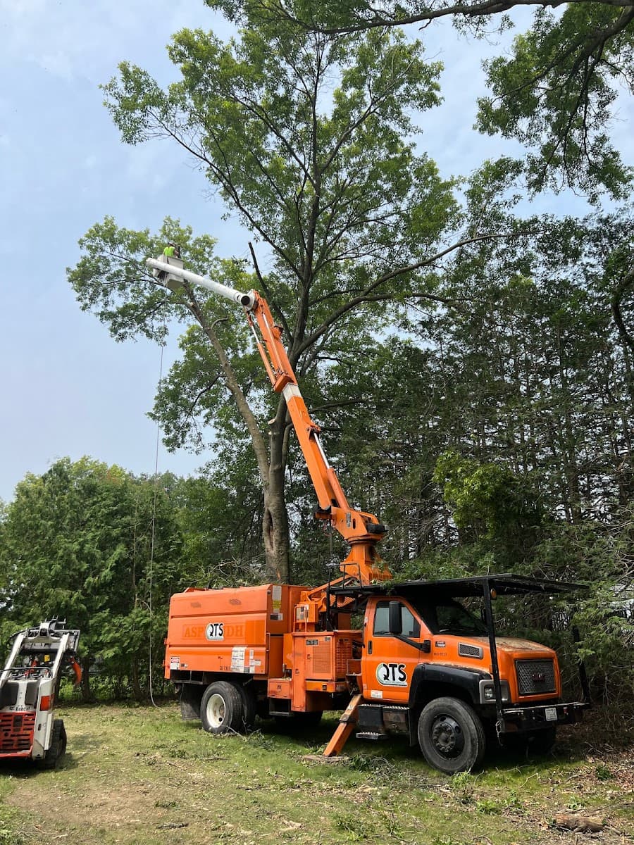 (QTS) Quality Tree Service LLC