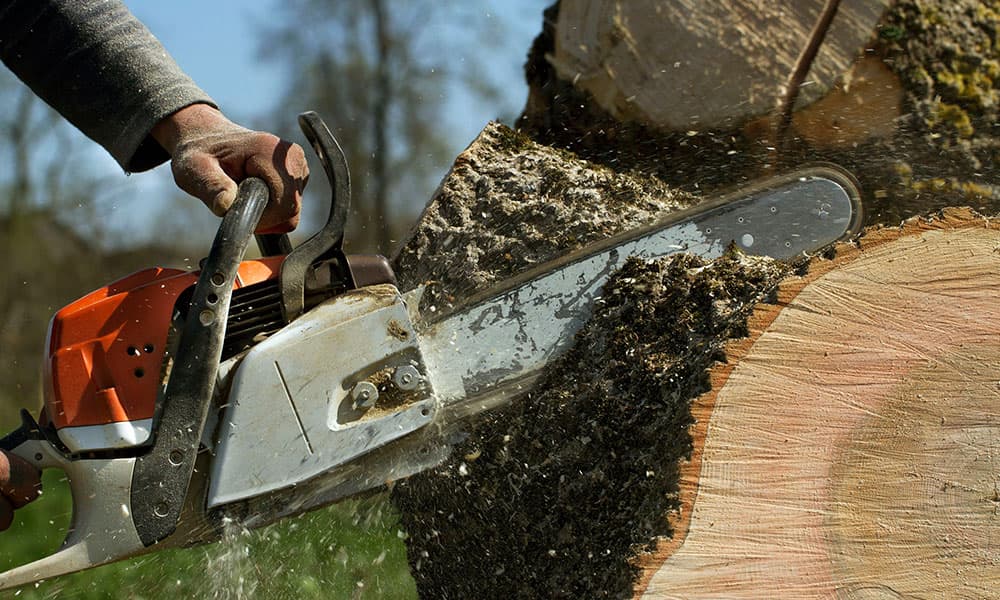 Windsor & Son Tree Care Services