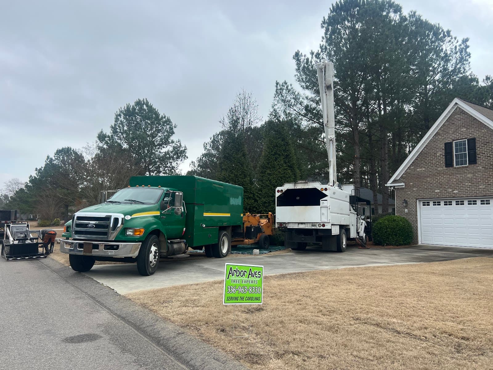 Arbor Aves Tree & Crane Experts